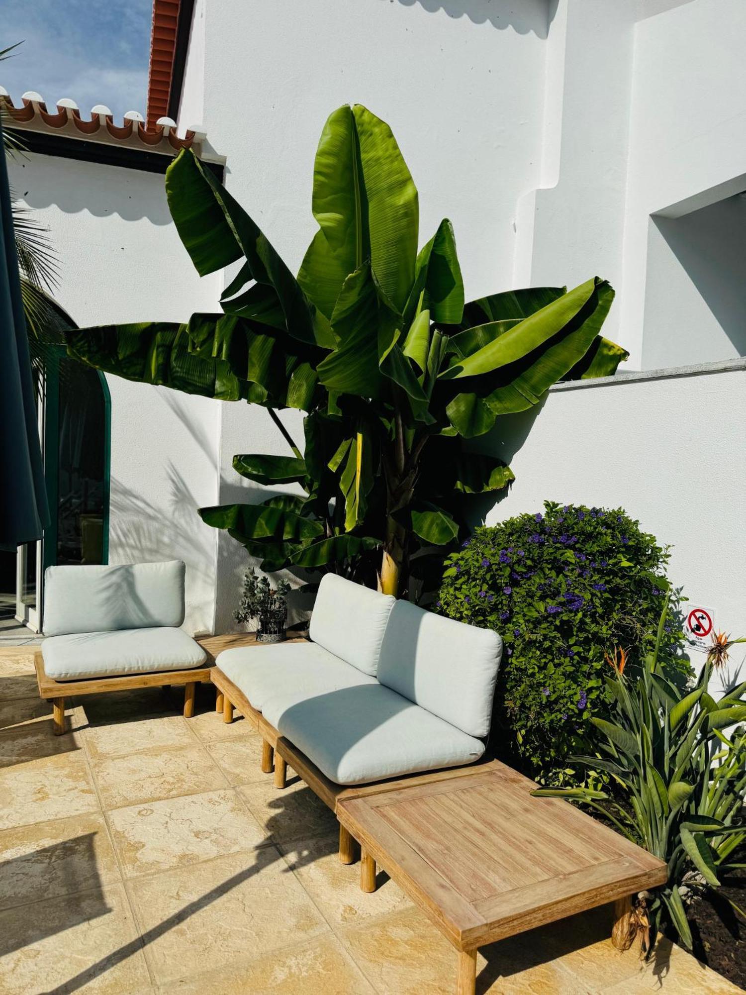 Solar Dos Frades Hotell Ferreira Do Alentejo Eksteriør bilde